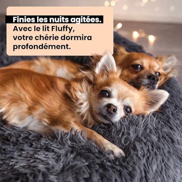 Découvrez notre test complet du panier pour chien Wahre Tierliebe : confort moelleux, lavabilité et qualité pour votre animal de compagnie. 