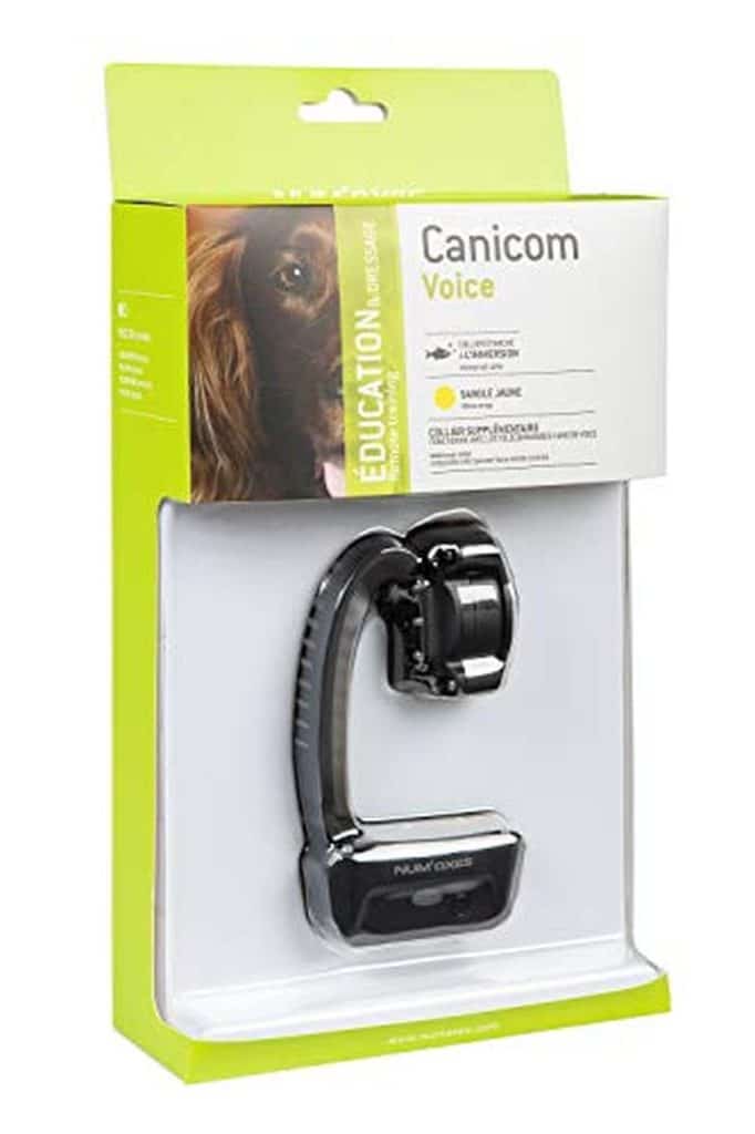 Test : collier éducatif num'axes canicom voice 200