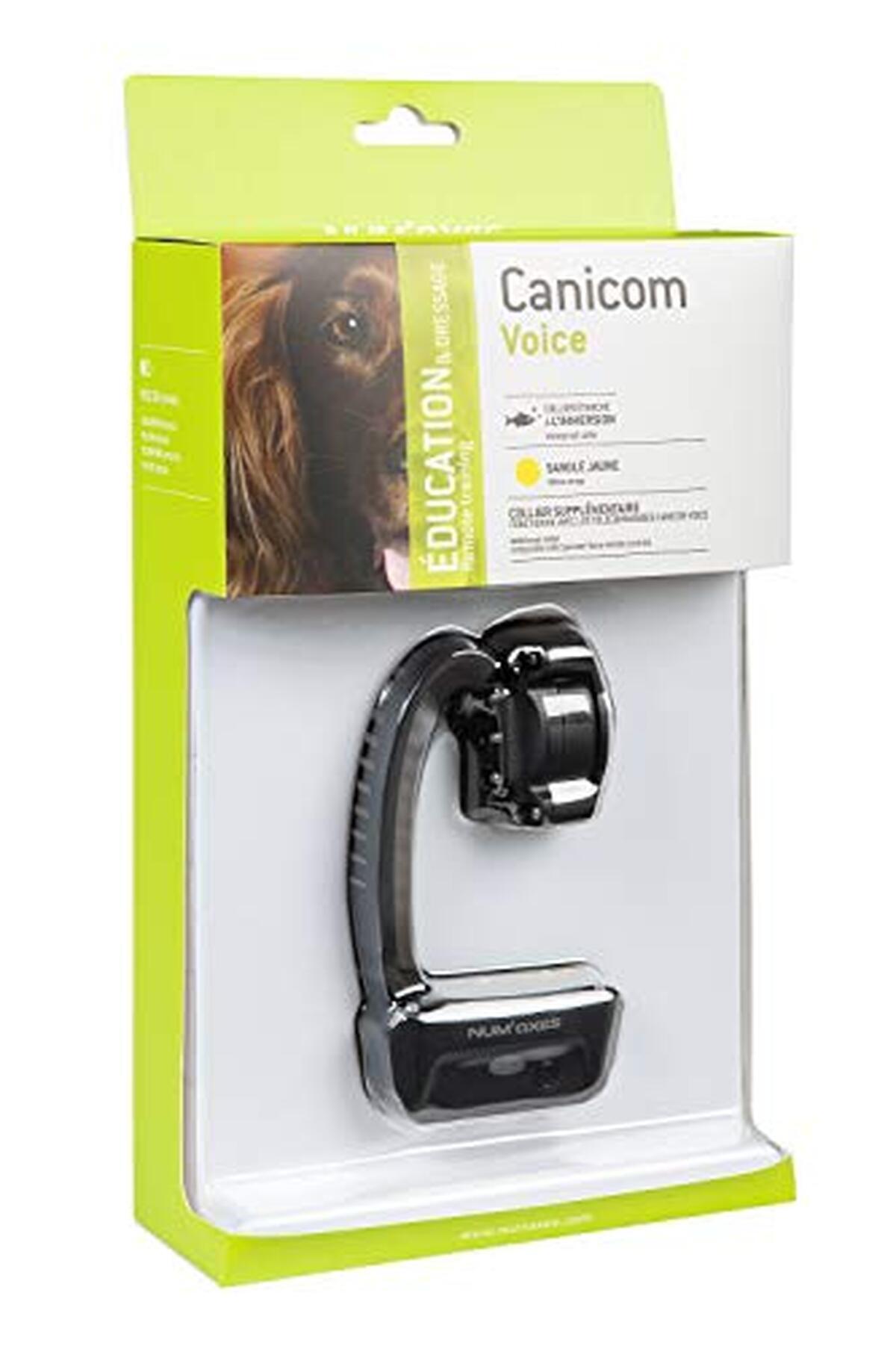 Test : collier éducatif num'axes canicom voice 200