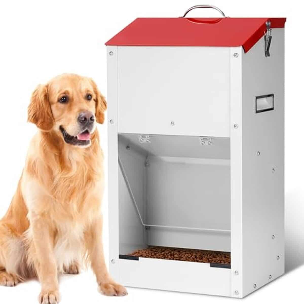 Test de la mangeoire automatique HHNIULI pour grands chiens