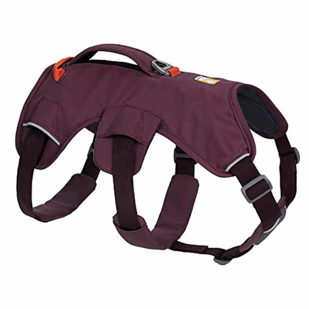 Test du harnais multi-usage Ruffwear Web master : polyvalence et sécurité