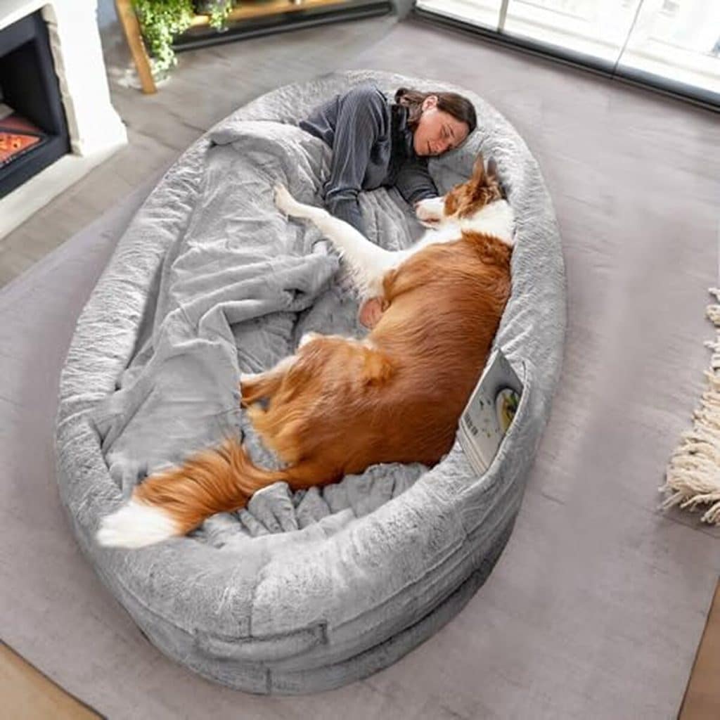 Test du lit human dog bed : confort ultime pour humains et animaux