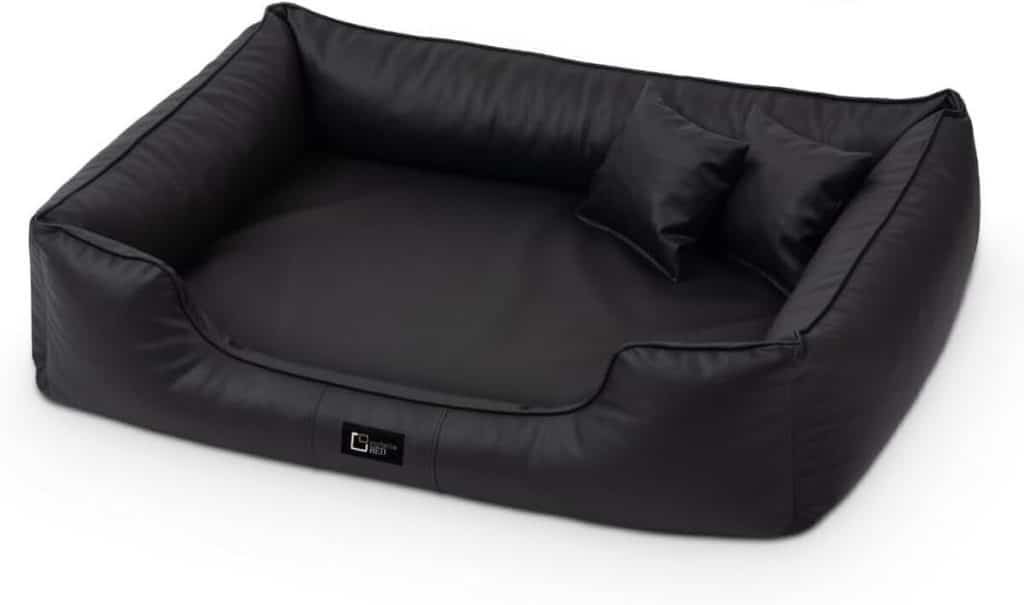 Test du lit orthopédique Max : confort et style pour votre chien