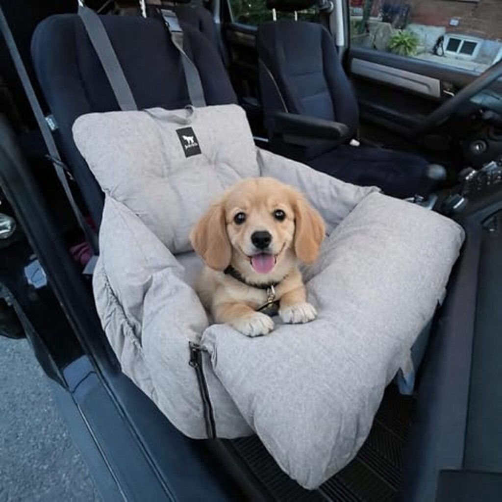 Test du siège auto JACKO & CO pour animaux de moins de 15, 9 kg