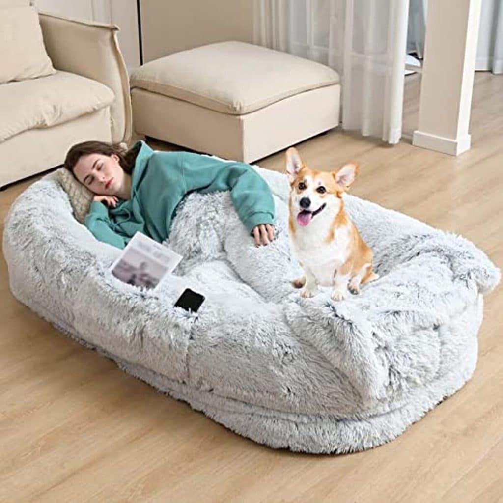 Test : lit géant pour chien, confort XXL