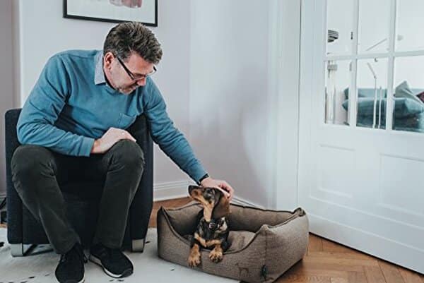 Découvrez notre avis complet sur le canapé pour chiens Hunter Living 60860 marron taille M : confort, qualité et durabilité pour votre compagnon à quatre pattes.