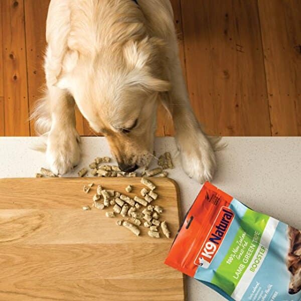 Découvrez notre test complet des snacks panes d'agneau K9 Natural 200 g : composition, qualité, prix et avis des propriétaires de chiens.