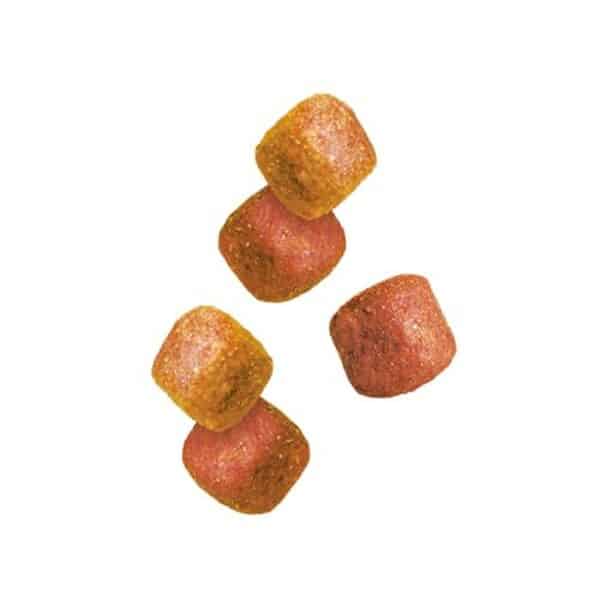 Découvrez notre test complet des friandises moelleuses Pedigree Sa Récompense pour chien : qualité, saveurs et bénéfices pour la santé de votre animal de compagnie.