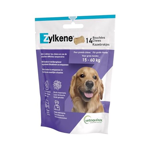 Découvrez notre test complet du zylkene 450 mg de vetoquinol : efficacité, dosage et avis pour calmer les chiens stressés et anxieux. 