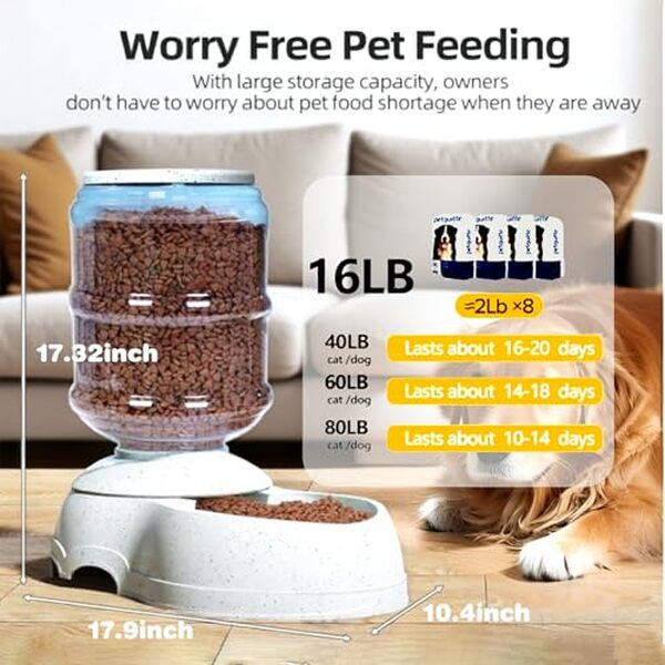 Découvrez notre test complet de la mangeoire automatique 10L pour chiens : capacité, durabilité et performances pour nourrir votre animal au quotidien. 