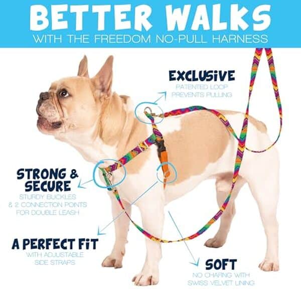 Découvrez notre test complet du harnais anti-traction 2 Hounds Design Freedom XXL marron : confort, efficacité et qualité pour votre grand chien. 