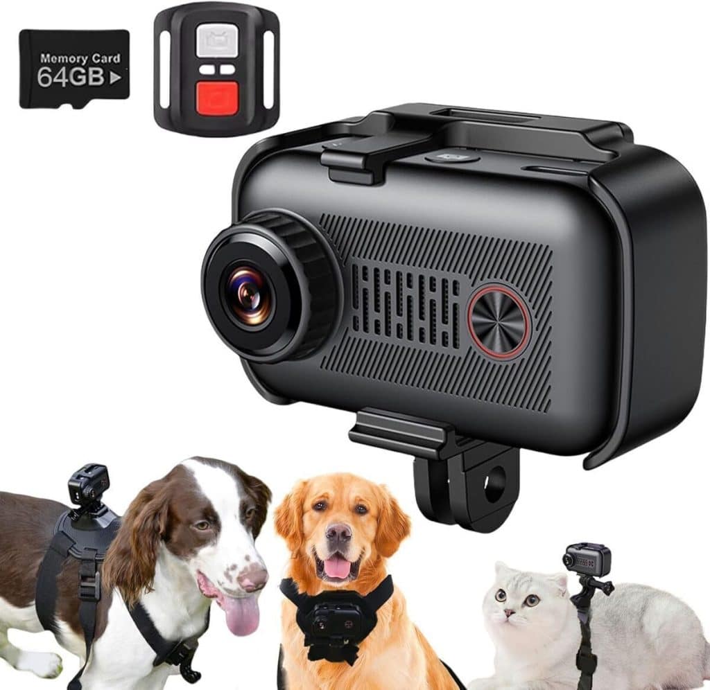 Test : caméra Agrdeed 2K pour animal de compagnie
