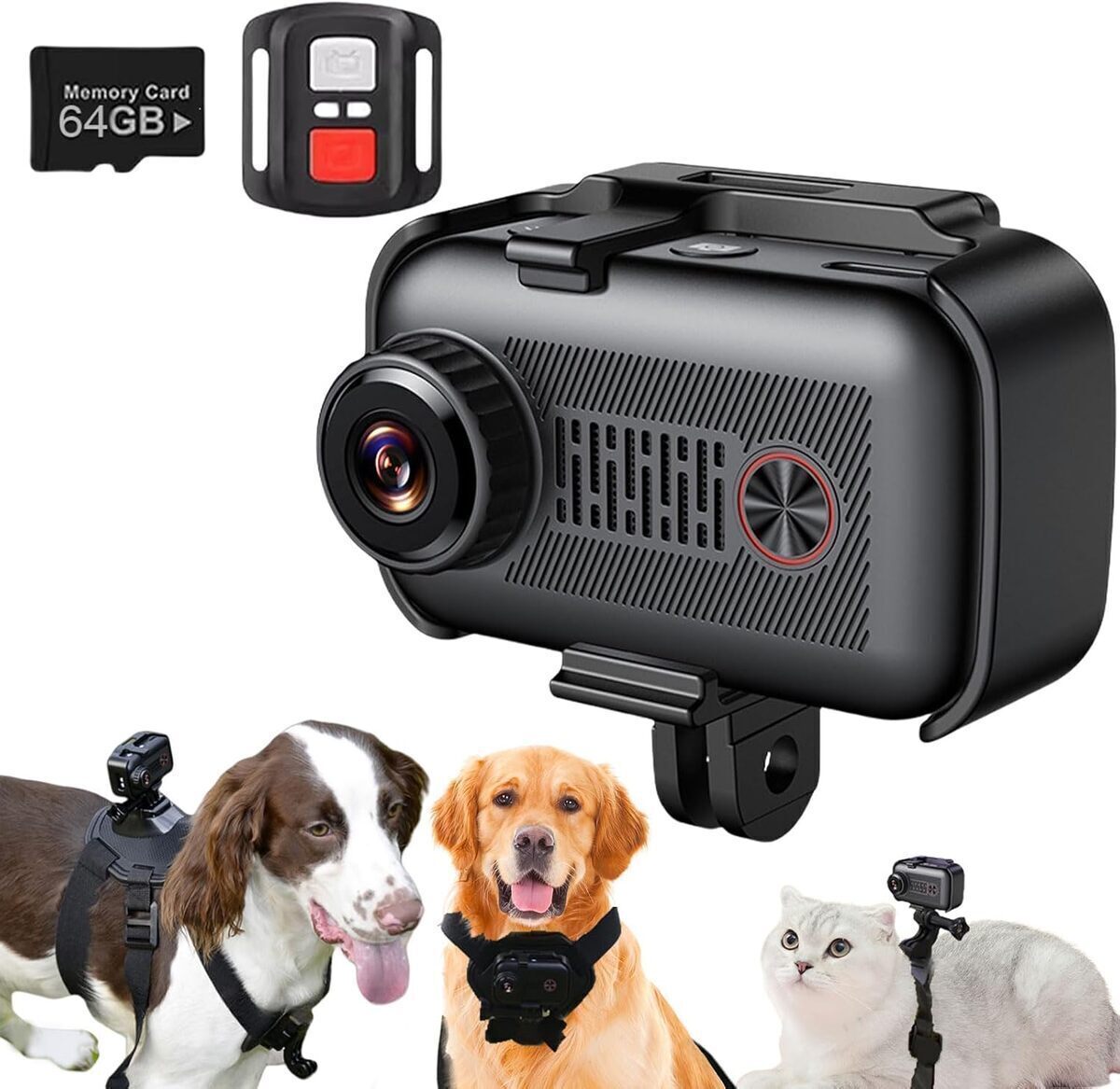 Test : caméra Agrdeed 2K pour animal de compagnie