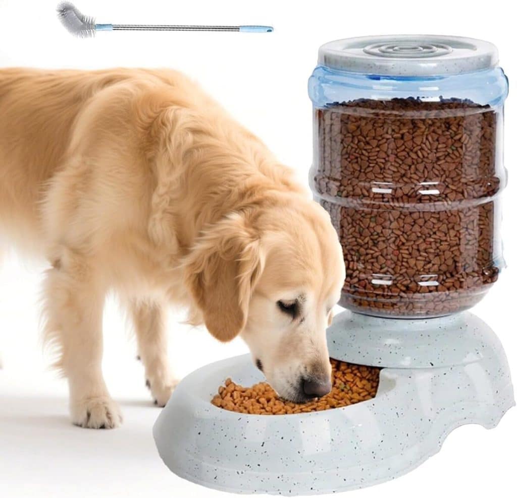 Test de la mangeoire automatique pour chiens 10L : grande capacité et durabilité