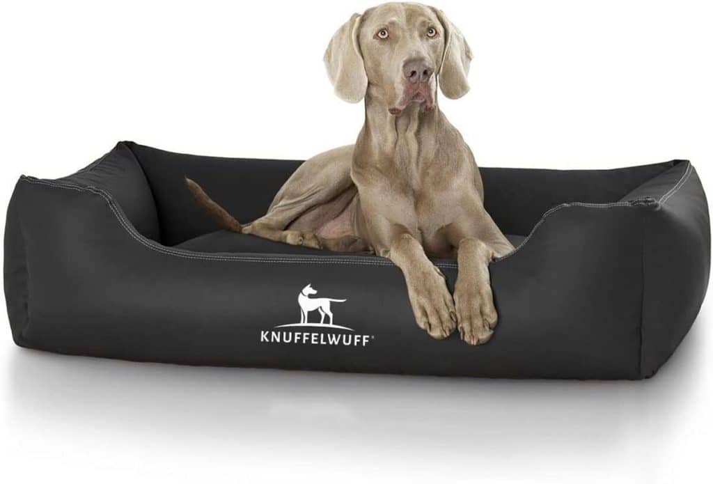 Test du panier pour chien sidney XXL de knuffelwuff