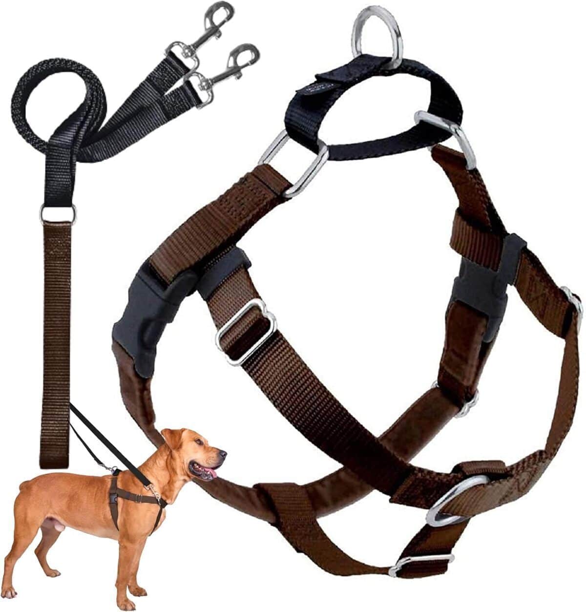 Test : harnais anti-traction 2 Hounds Design Freedom XXL marron