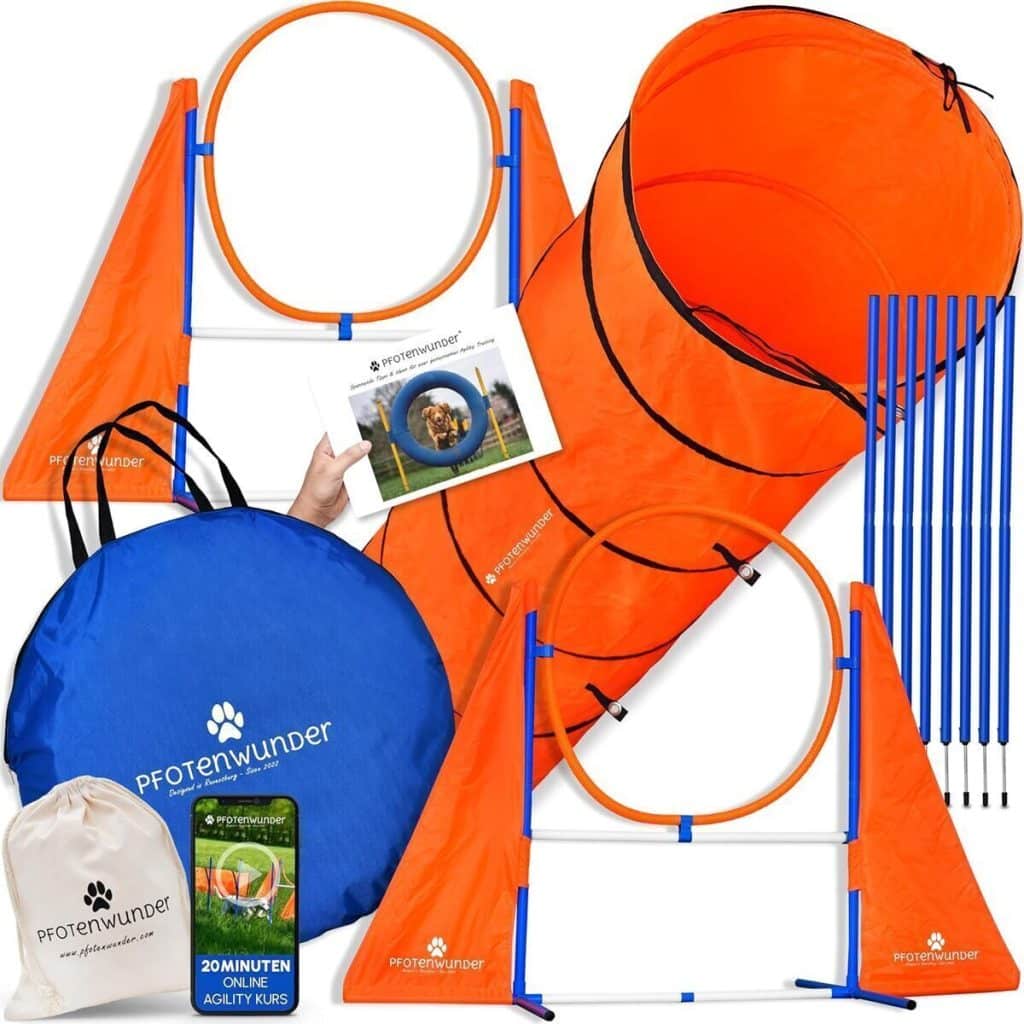 Test : kit d'agility XXL pfotenWunder pour chiens