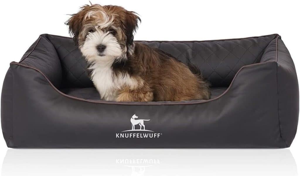 Test : panier orthopédique Madison Knuffelwuff pour chien