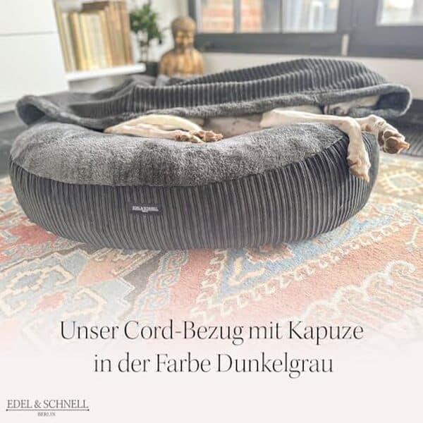 Découvrez notre test détaillé du lit orthopédique Edel&Schnell pour chien : confort premium, design élégant et qualité durable pour le bien-être de votre animal.