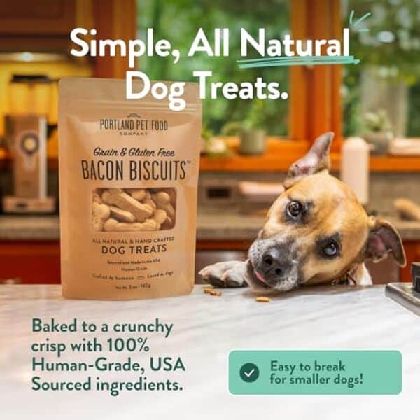 Découvrez notre test complet des friandises Portland Pet Food Company sans céréales pour chien : composition, qualité et avis détaillé pour bien choisir les gâteries de votre animal.