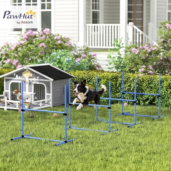 Découvrez notre test complet du kit agility PawHut avec obstacles réglables et sac de transport. Guide d'achat pour dresser votre chien à domicile. 