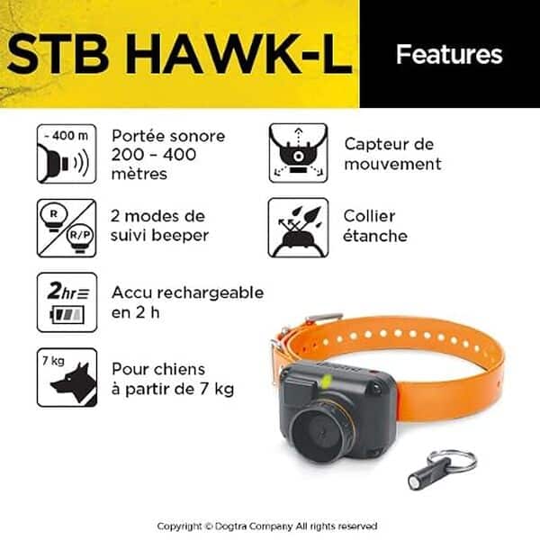 Découvrez notre test du Dogtra STB Hawk : accessoires performants pour l'éducation canine, avis détaillé et comparatif des fonctionnalités principales.