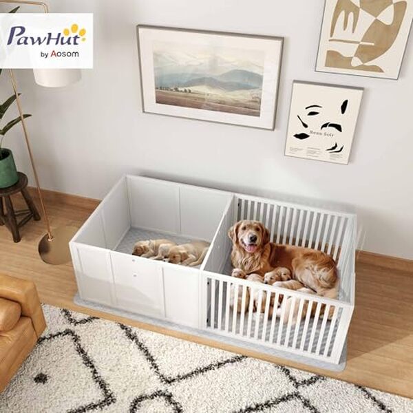 Découvrez notre test du parc à chiots PawHut : solution pratique et sécurisée pour simplifier la mise bas de votre chienne. Avis détaillé et conseils.
