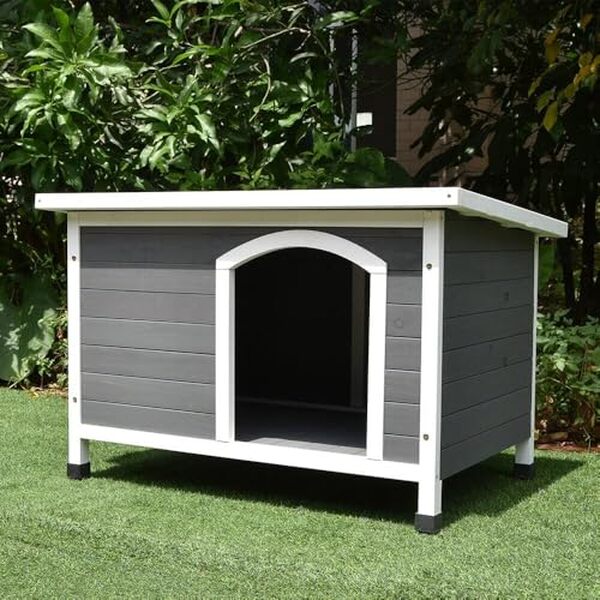 Découvrez notre test détaillé de la niche à chien Animal Valley taille M. Modèle en bois et plastique robuste, confortable et durable pour votre animal de compagnie. 