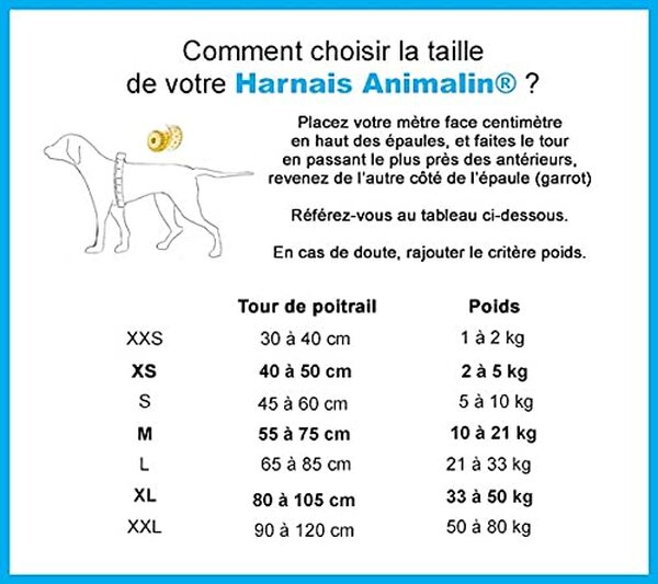 Découvrez notre harnais pour chien Classic XXL : anti-traction, multifonctions et confortable. Test complet, avis et conseils pour bien choisir votre équipement. 