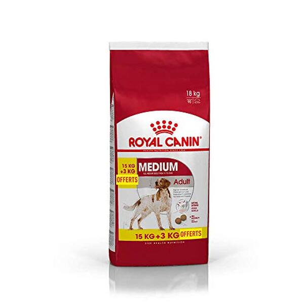 Découvrez notre test détaillé de Royal Canin Medium Adult, l'aliment idéal pour les chiens de taille moyenne. Composition, avantages et recommandations d'experts.