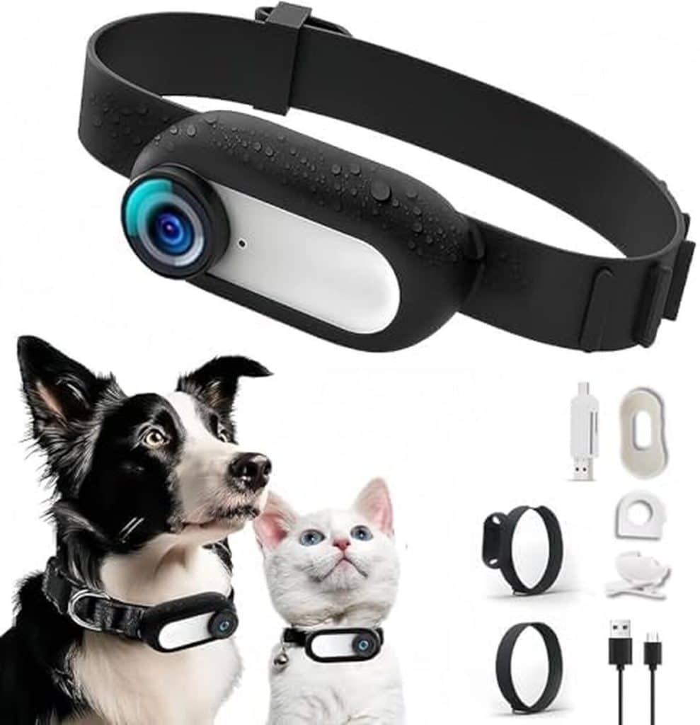 Test : caméra collier HD 1080p pour animaux de compagnie