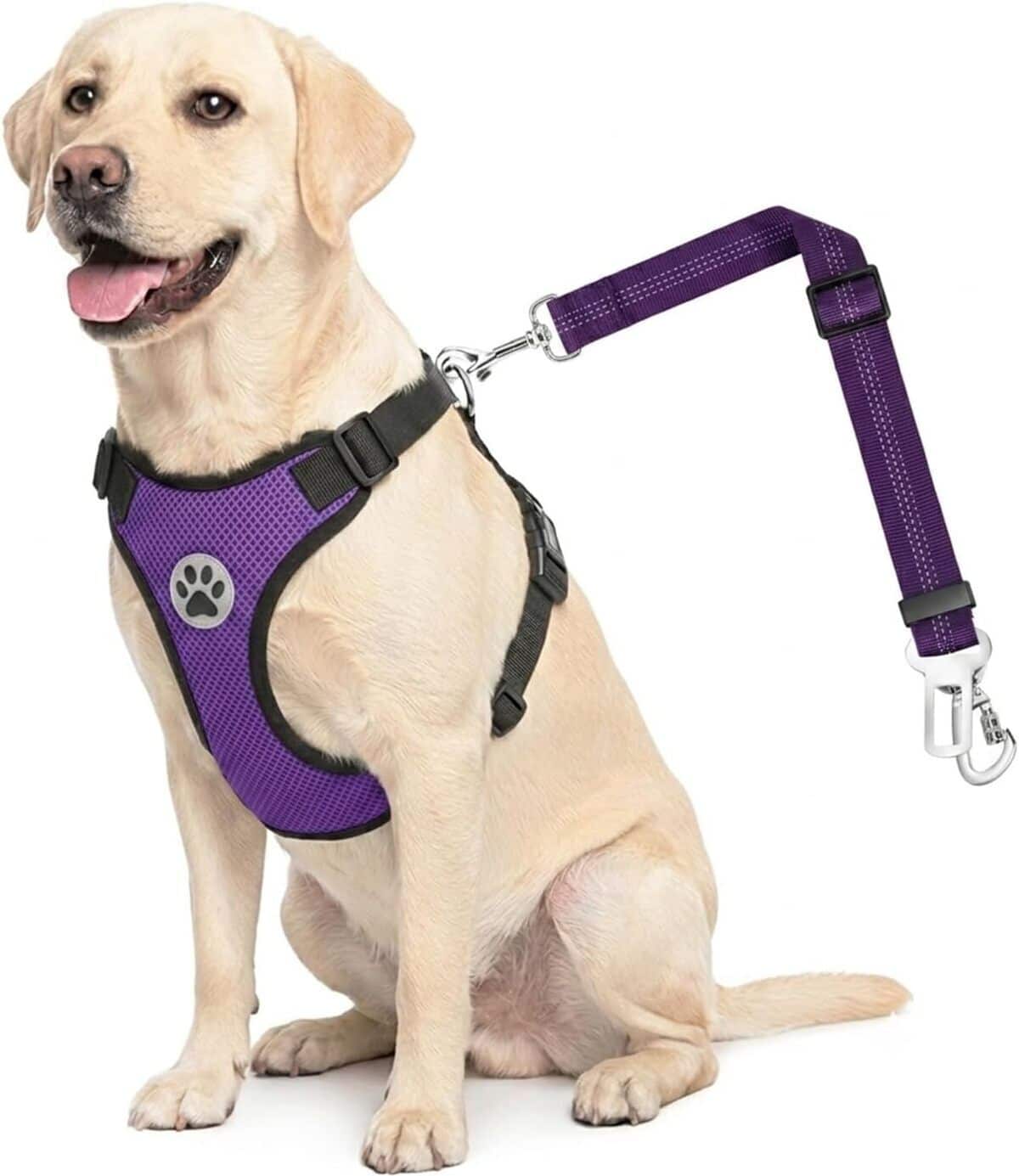 Test du harnais de voiture Lukovee pour chien ajustable et respirant