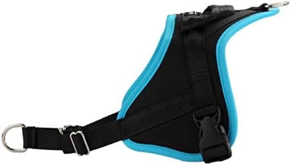 Test du harnais pour chien Classic XXL : anti-traction et multifonctions