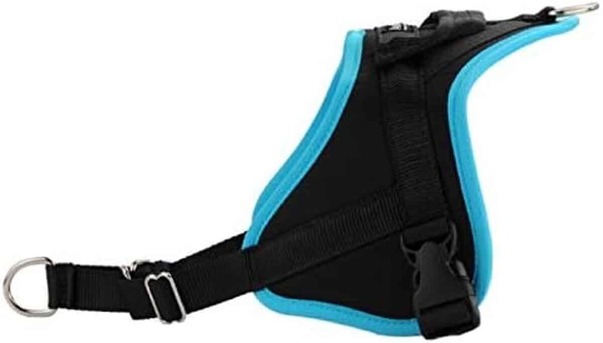 Test du harnais pour chien Classic XXL : anti-traction et multifonctions