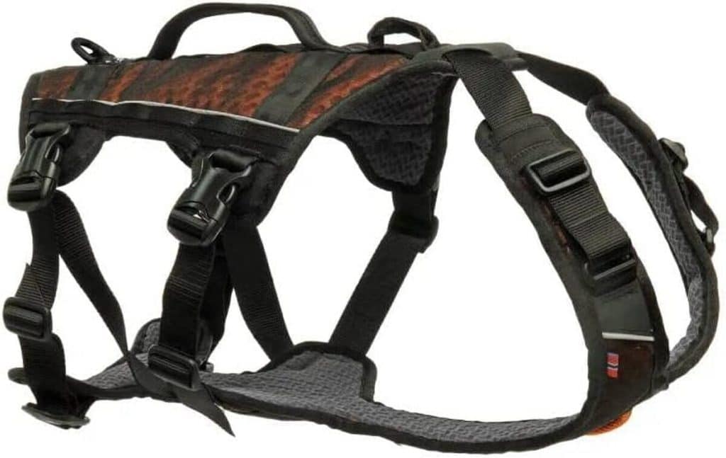 Test du harnais Rock harness long de Non-stop dogwear