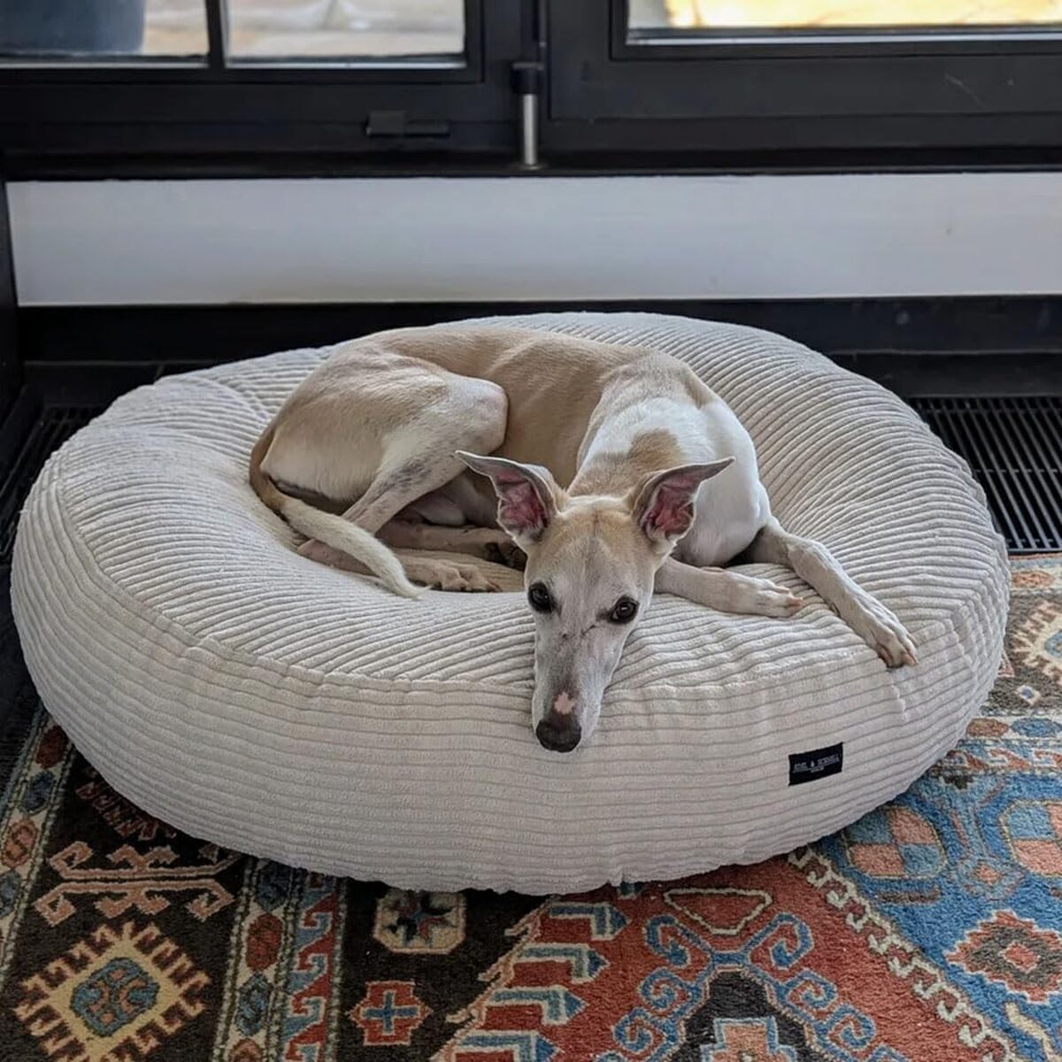 Test du lit orthopédique pour chien Edel&Schnell : confort et élégance