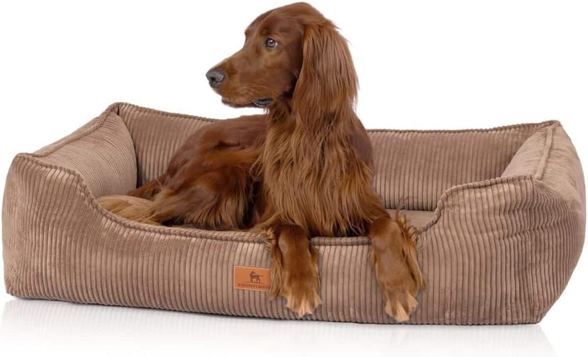 Test du panier orthopédique Knuffelwuff nunavut en velours XXL 120x85 cm