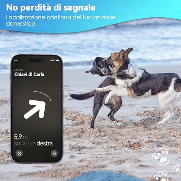 Découvrez notre test complet du support AirTag CloudValley pour collier. Design étanche et durable pour localiser vos animaux de compagnie en toute sérénité.
