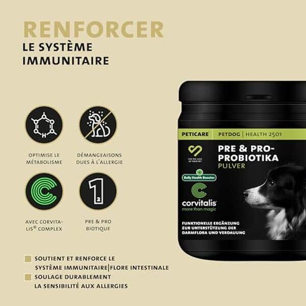 Découvrez notre test du complément Peticare chien avec prébiotiques et probiotiques. Boost immunitaire naturel pour la santé digestive et le bien-être de votre chien.