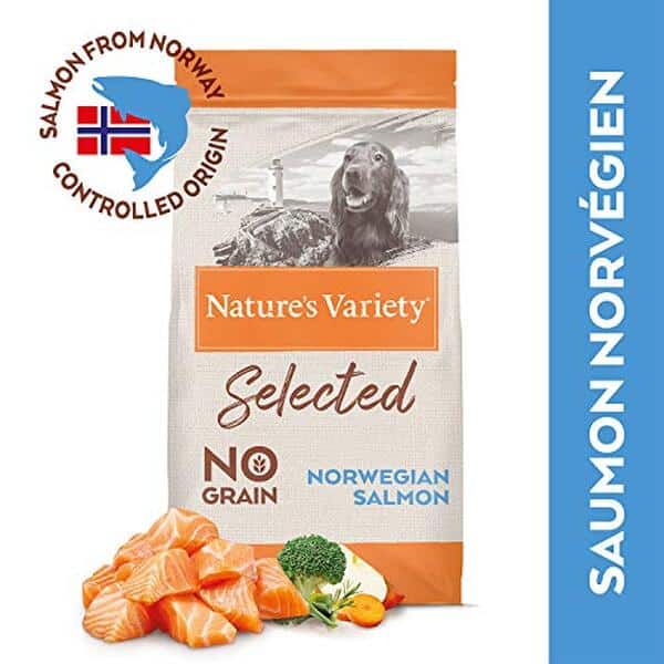 Découvrez notre test complet des croquettes sans céréales Nature's Variety au saumon : composition, avantages et avis pour l'alimentation de votre chien.