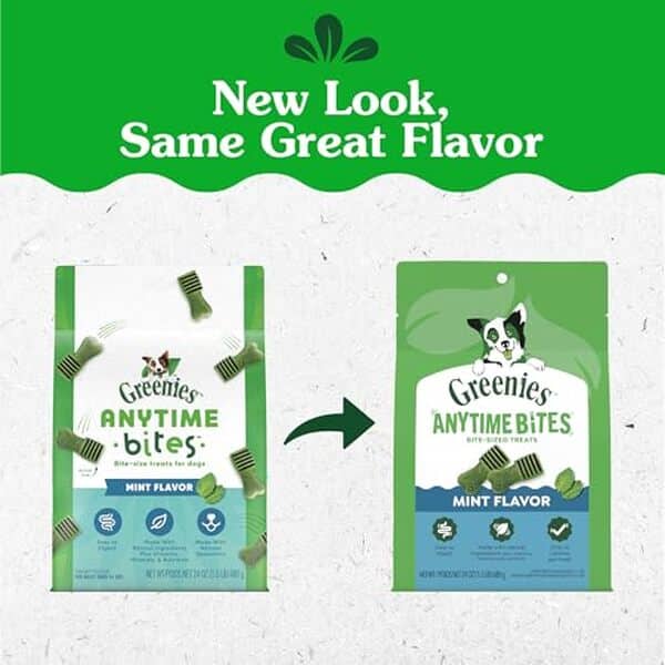 Découvrez notre test complet des friandises Greenies Anytime saveur menthe : composition, bienfaits, avis et conseils d'utilisation pour la santé dentaire de votre chien.