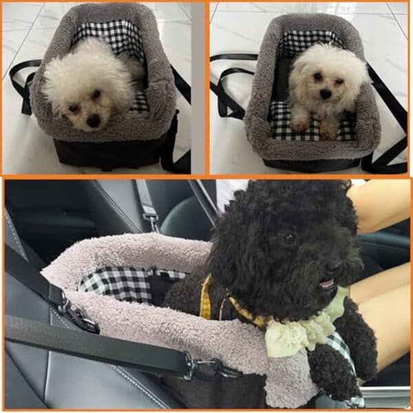 Découvrez notre test complet du siège auto console Amremsu pour chien : sécurité, confort et praticité pour voyager sereinement avec votre animal. 