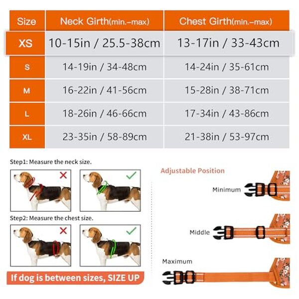 Découvrez notre test détaillé du harnais Timos anti-traction orange fleur XS : efficacité, confort et qualité pour votre petit chien.