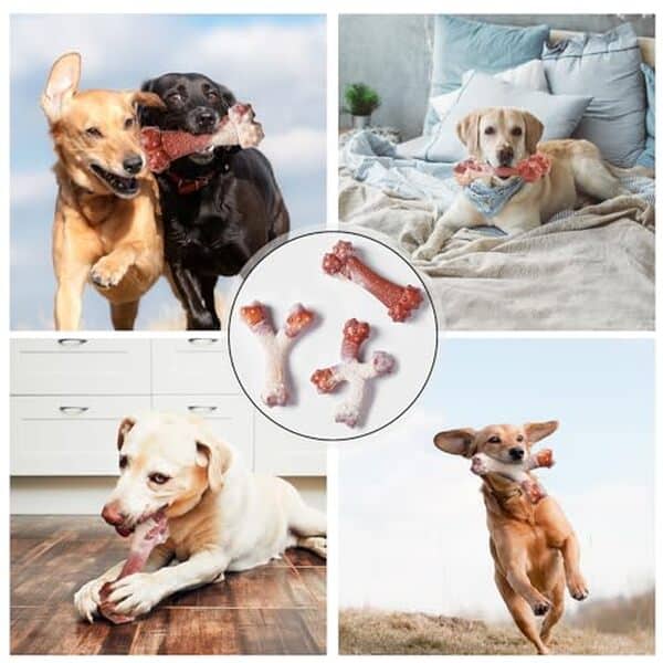 Découvrez notre test complet des 3 jouets EASTPET pour chiens agressifs : résistance, saveur bacon et avis détaillé pour choisir les meilleurs jouets.