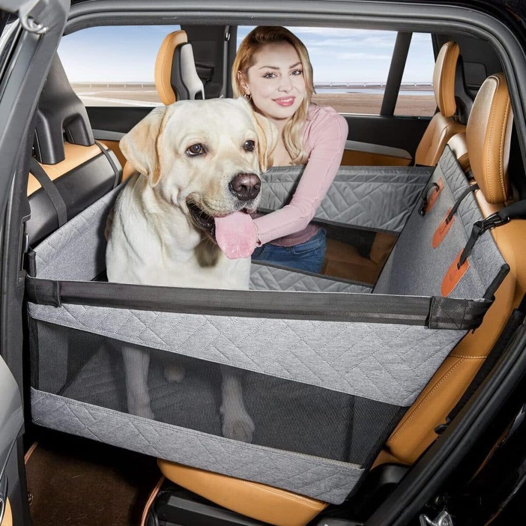 Test du siège TKYZ : confort et sécurité pour votre chien en voiture
