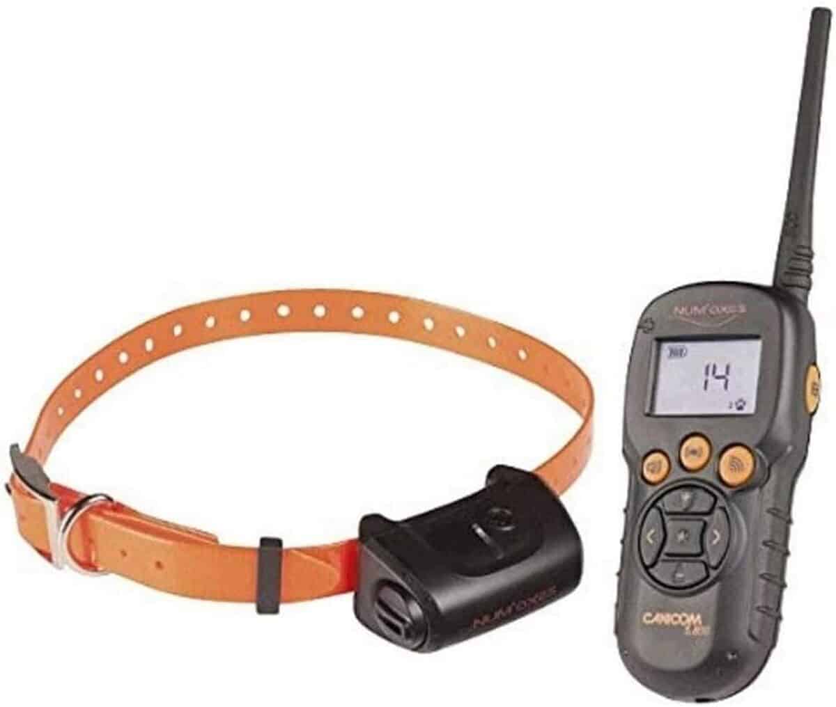 Test : ensemble de dressage NUM'AXES CANICOM 5.800 pour chien