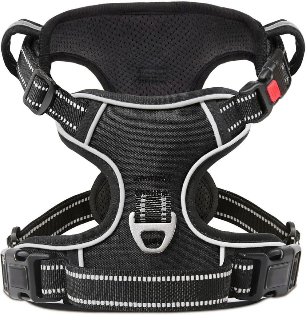 Test : harnais Timos anti-traction orange fleur XS