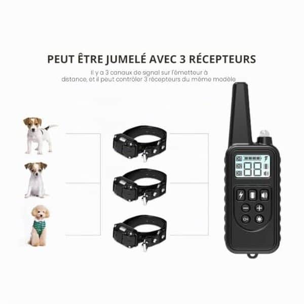 Découvrez notre test complet du collier de dressage PupPal 800 m avec 99 niveaux et LED. Avis, performances et conseils d'utilisation pour dresser votre chien efficacement.