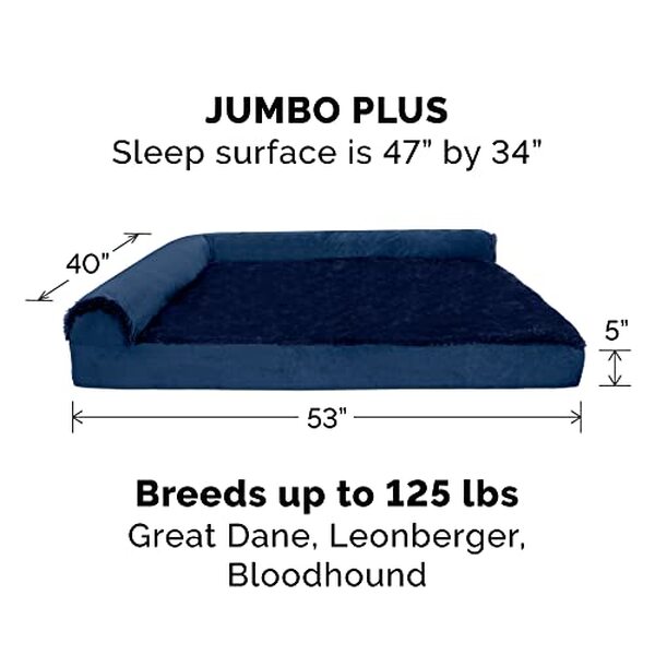 Découvrez notre test détaillé du lit orthopédique Furhaven Jumbo Plus : confort, qualité et durabilité pour les grands chiens. Avis complet et conseils d'achat.