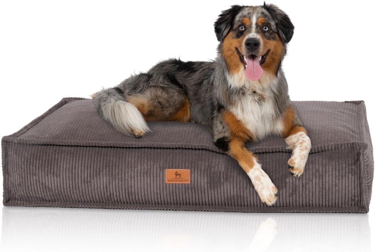 Test : coussin Knuffelwuff Lesedi en velours côtelé pour chiens